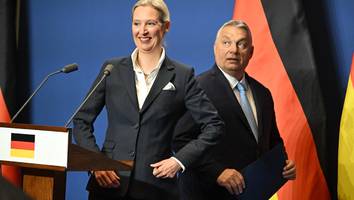 Glückwunsch aus Budapest - Orban gratuliert Weidel und nicht Merz