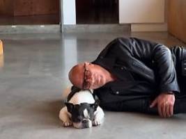 ich bin wie betäubt: dwayne the rock johnson trauert um seine bulldogge