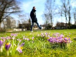 Frühling in den Startlöchern: Sonne verwöhnt Süden und Nordwesten am meisten