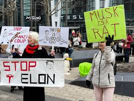 USA: Landesweite Proteste gegen Elon Musk