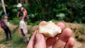 steinwerkzeuge auf 150.000 jahre datiert - bahnbrechende entdeckung im regenwald könnte die geschichte neu schreiben