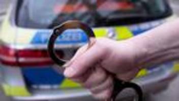karneval: narren stoppen autofahrer in weilerswist
