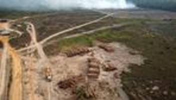 regenwald: abholzung des amazonas begünstigt trockenheit und Überschwemmungen