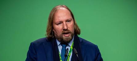 Grüne stellen erste Bedingungen für Zustimmung zu Riesenfinanzpaket