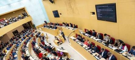 Oskar Lipp provoziert im Landtag mit NS-Rhetorik