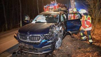 Wildschwein läuft vor Auto – Škoda schwer beschädigt