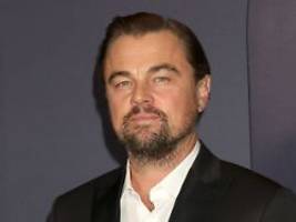 Regenwald-Rodung trotz Verbot: Leonardo DiCaprio kritisiert Australiens Regierung