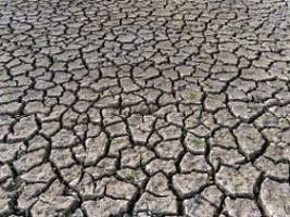 studie: ohne wird es viel teurer: geld für klimaschutz bringt bis zu 14-fachen ertrag