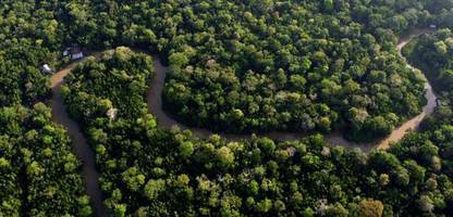 brasilien: straße wird durch den regenwald gebaut – für die klimakonferenz