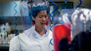 im chinesischen wuhan - bnd glaubt an laborunfall als ausgang der corona-pandemie