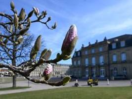 Bis zu 20 Grad in Aussicht: Nach dem Schmuddel-Winter kommt das sonnige Frühlingshoch