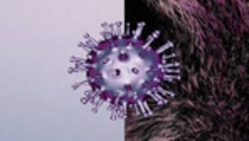 BND-Bericht zum Corona-Ursprung: Nicht nur der Geheimdienst wird langsam stutzig