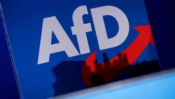 Zwischen 2019 und 2024 - Neue Analyse: Brandmauer zur AfD in in Kreisen und Kommunen löchrig