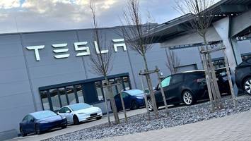 Mysteriöser Meinungsumschwung - Erst wird Tesla-Umfrage wohl manipuliert - dann teilt Elon Musk das Ergebnis