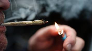 „Fehler“ Cannabis-Freigabe: Befürchtungen bestätigen sich in Hamburg