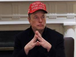 musk-auftritt mit bizarrer kappe: trump lässt freund elon bei kabinettssitzung feiern