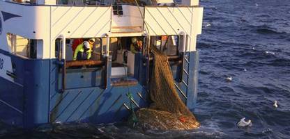 Fischerei mit Schleppnetzen verursacht laut Studie Milliardenschäden