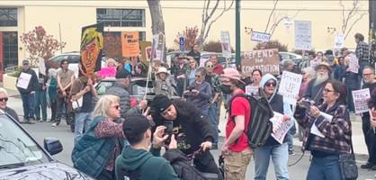 elon musk: 71-jährige bei anti-musk-demo in berkeley mit elektroschocker attackiert