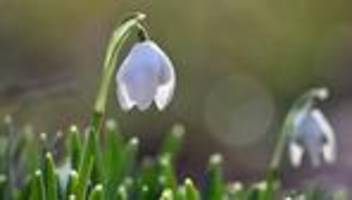 wetter: mildes frühlingswetter zum wochenstart in nrw