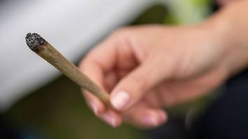 apothekerpräsident kritisiert cannabis-legalisierung scharf