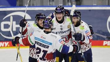 die eisbären bauen in mannheim die berliner mauer wieder auf