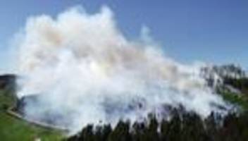 trockenheit und feuer: waldbrände in nrw: experte sieht folgen des klimawandels