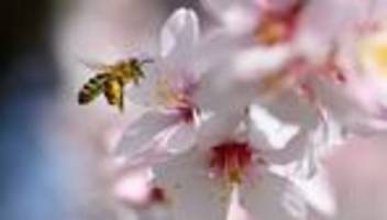 wetter: zum wochenstart bleibt es sonnig und mild