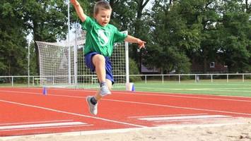 massen von bienen auf sportplatz – „aufregung erst mal groß“