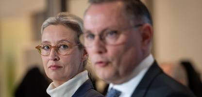 zölle von donald trump: afd-chef tino chrupalla hat verständnis, alice weidel nicht