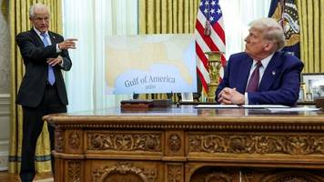 streitpunkt zölle: elon musk legt sich mit trump-berater an – „jungs bleiben jungs“