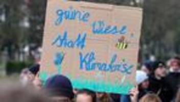 klimaschutz: fridays for future protestiert in rostock