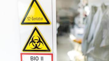 mpox in hamburg: was man über die neuen fälle wissen muss