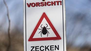 schon 73 borreliose-fälle dieses jahr – was gegen zecken hilft