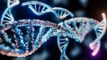 neue studie enthüllt: wie dna-veränderungen uns altern lassen