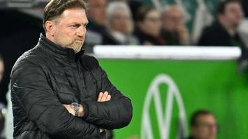 wolfsburgs hasenhüttl nimmt behrens nach berichten in schutz