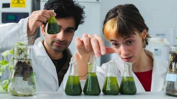 Wachstumsmarkt Wasser: Die Blue Economy – ein blaues Wirtschaftswunder?