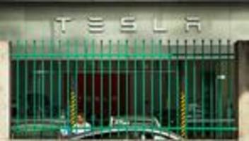 Elon Musk: Tesla meldet Gewinneinbruch von mehr als 70 Prozent