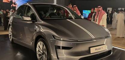 Tesla Quartalszahlen: Gewinneinbruch von 71 Prozent im ersten Quartal 2025