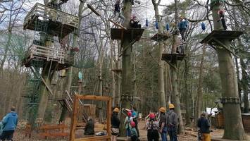 kletterpark im sachsenwald: nervenkitzel in 14 metern höhe