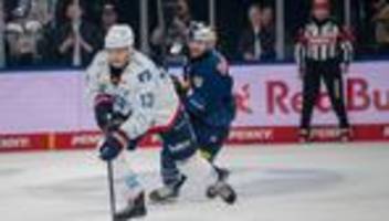 deutsche eishockey liga: straubing tigers verpflichten nationalstürmer loibl