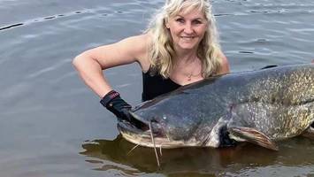 dicker fisch beschert titel – anglerin zieht mega-wels aus der oder
