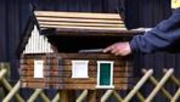 Deutsche Post: Ausweisdokumente können künftig per Post geliefert werden
