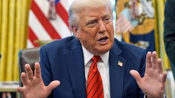 usa unter „könig trump“: monarchist wähnt sich bald am ziel