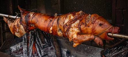 umstrittenes schweine-wettgrillen: söder lässt die sau raus