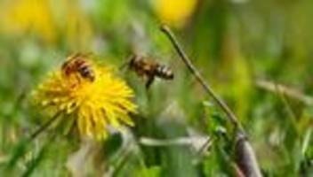 wetterausblick: sonne und sommerliche temperaturen - doch nicht überall