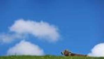 vorhersage: zweigeteiltes wetter: viel sonne und gewitter