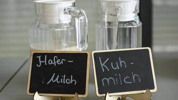 Kuhmilch-Ersatz? „Hafermilch ist keine direkte Alternative“