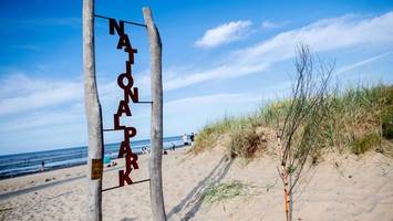 organisationen lehnen neue kabeltrassen durchs wattenmeer ab