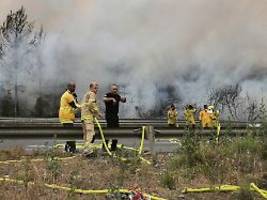 fünf feuer nahe jerusalem: italien und kroatien helfen israel im kampf gegen waldbrände