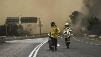 waldbrände nahe jerusalem – höchste alarmstufe ausgerufen